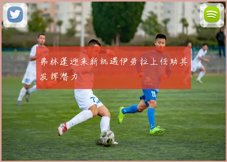 弗林蓬迎来新机遇伊劳拉上任助其发挥潜力