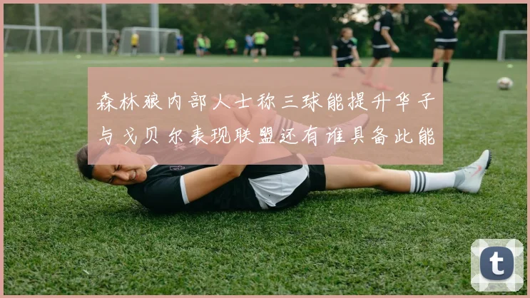森林狼内部人士称三球能提升华子与戈贝尔表现联盟还有谁具备此能力