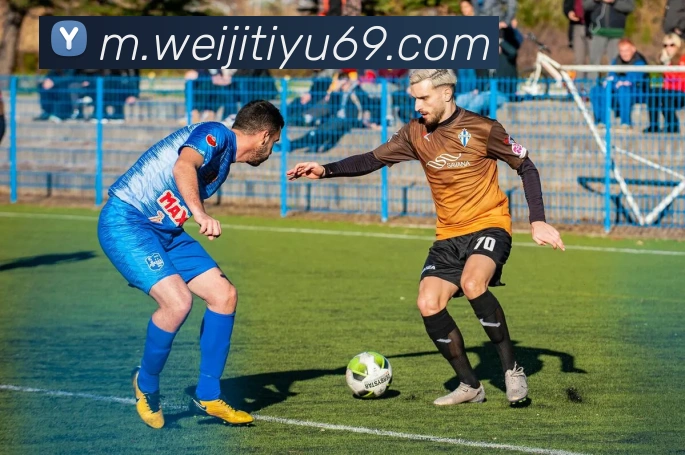 维基体育平台生态图