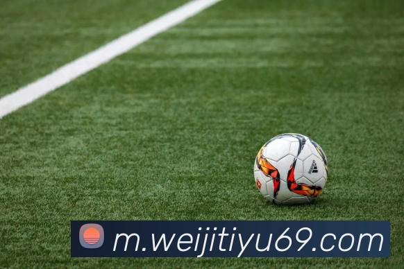 维基体育APP 封面图